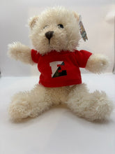 Load image into Gallery viewer, PLUSH EMMA BEAR
